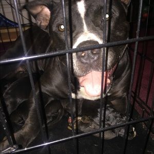 Meet your Posher, Jackie